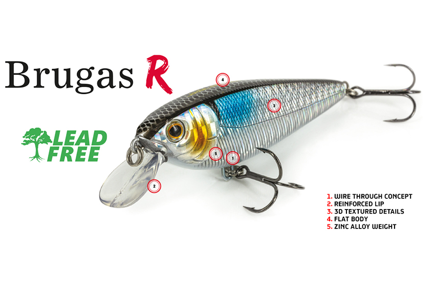 Molix Brugas R