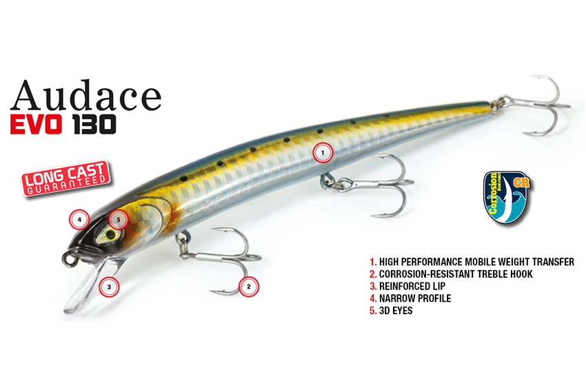 Molix Audace EVO 130