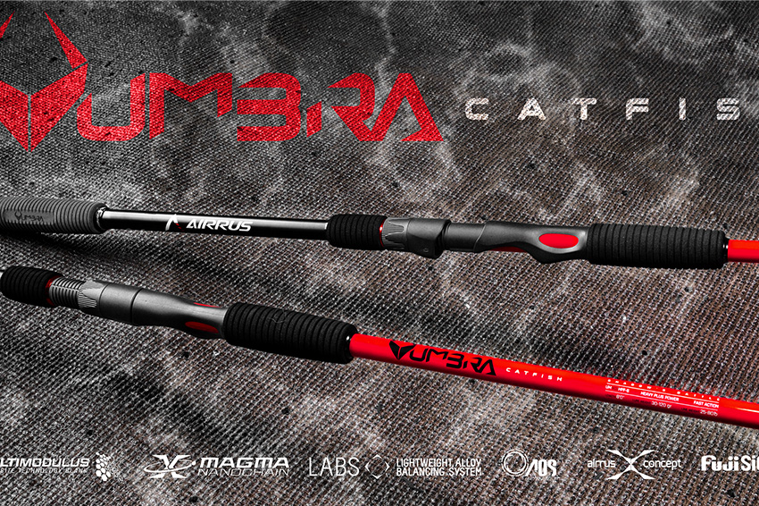 Canna Airrus Umbra Catfish