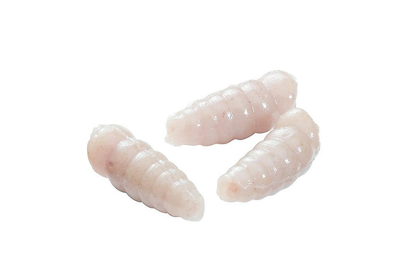 Power Bait Maggot Berkley