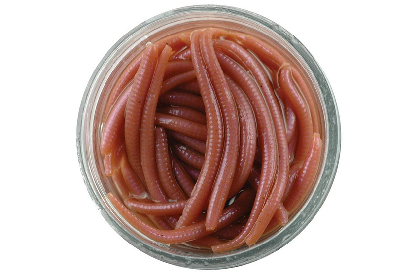 Berkley Gulp! Alive! Angle Worm