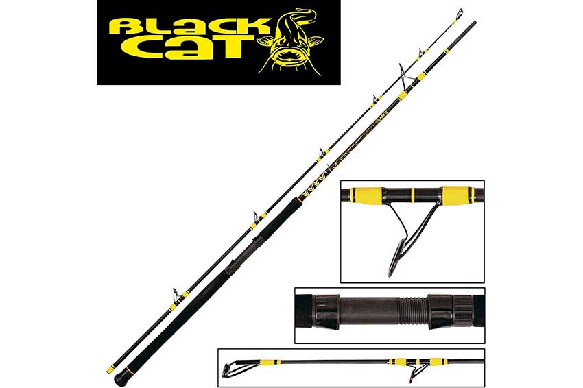 Canna Black Cat Boat Spin