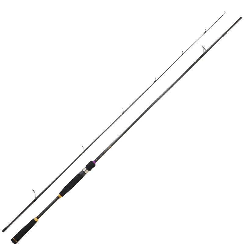 CANNA DAIWA 20 LEGALIS SQUID