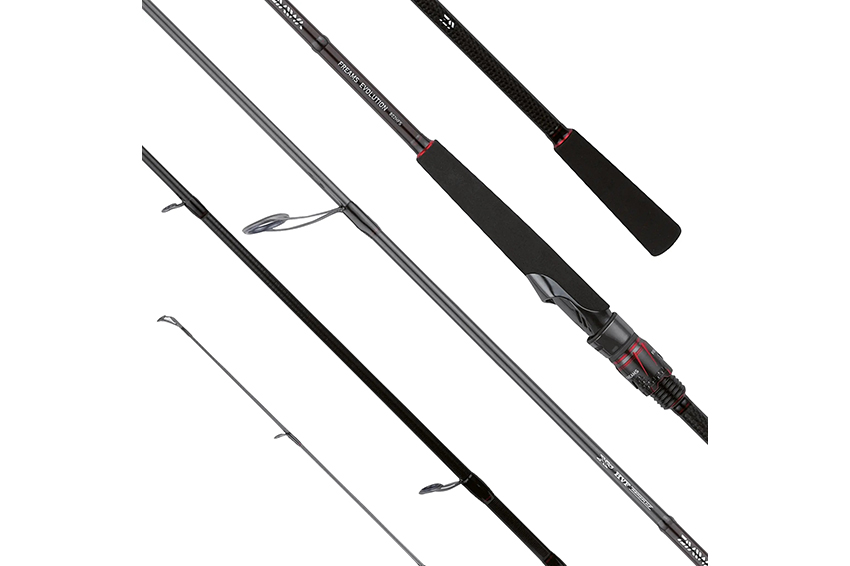 Canna Daiwa Freams Evolution