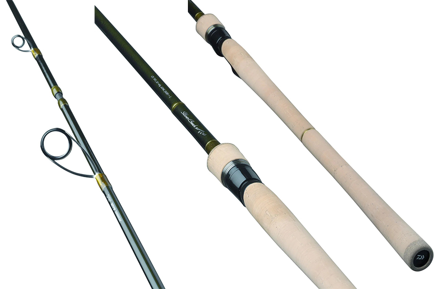 Canna Daiwa Silver Creek Marmorata