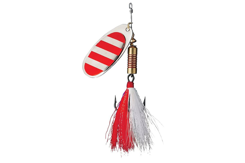 Dam Cucchiaino Dressato