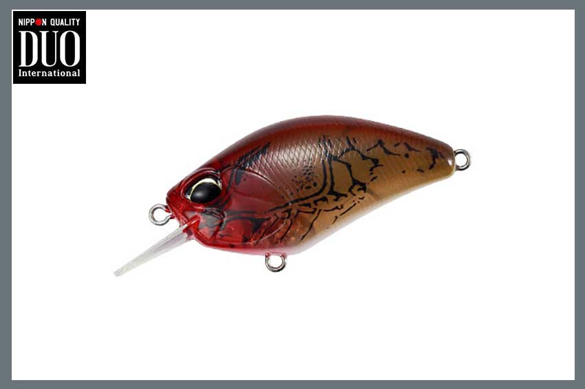 REALIS CRANK 55SR KABURI