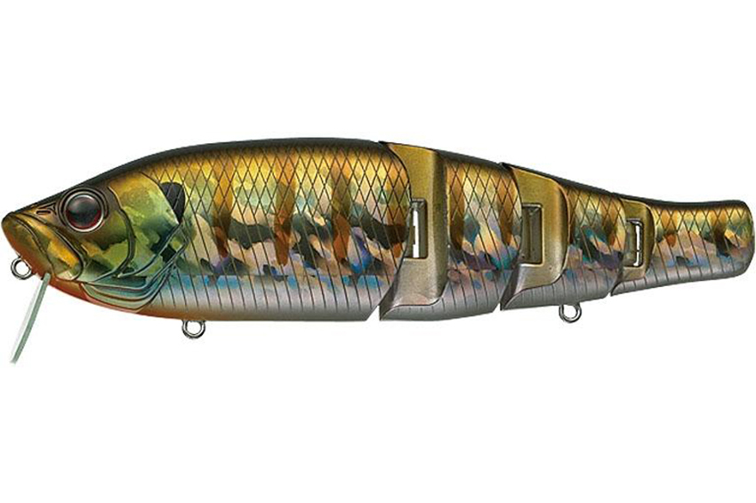 Evergreen Royal Flash Jr.