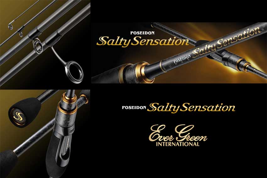 SALT S.THE WILD CARD