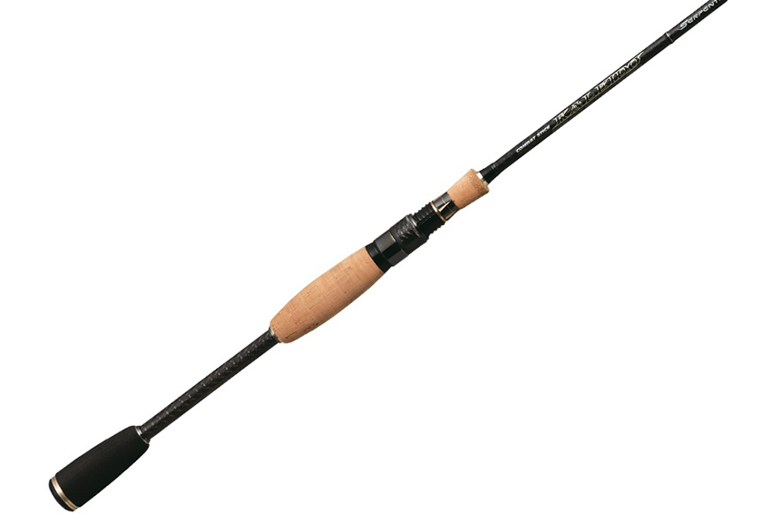 Canna Evergreen Serpenti