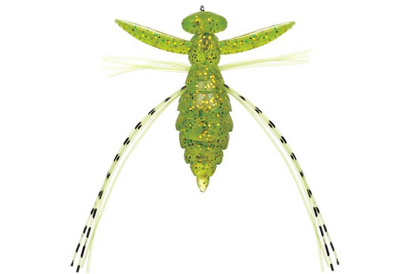 Evergreen Fact Gizmo