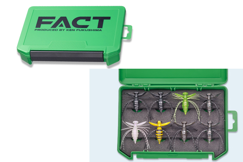 Evergreen Fact Gizmo Box