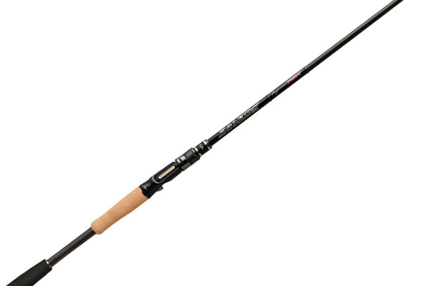 Canna Kaleido Inspirare Evergreen RSR Casting