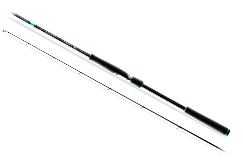 Canna Favorite X1 Shore