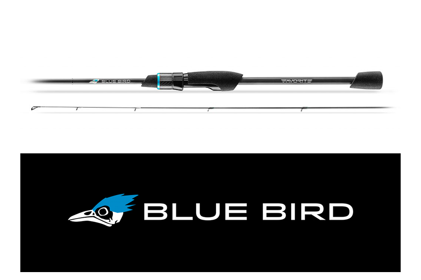 Favorite Blue Bird BB1