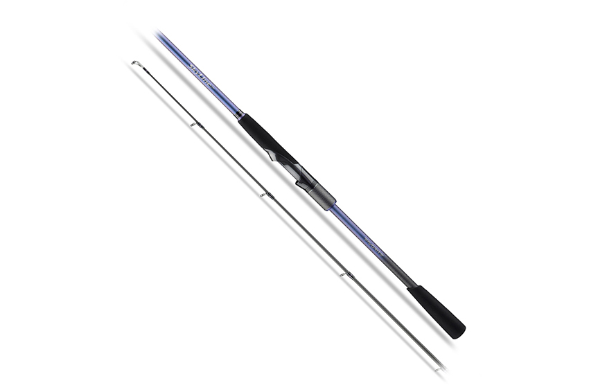 Canna Favorite Skyline 25