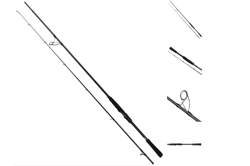 Golden Catch Canna Inquisitor