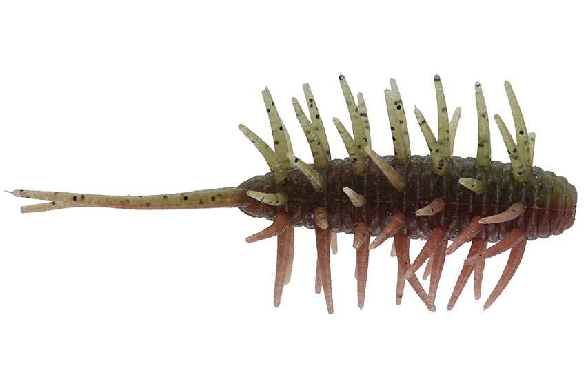 Hideup Coike Shrimp Medium
