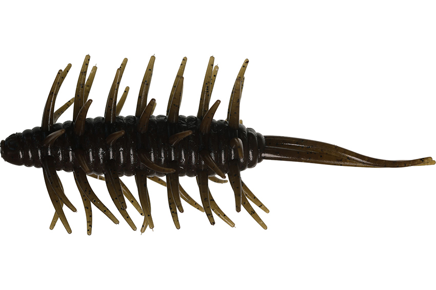 Hideup Coike Shrimp Big