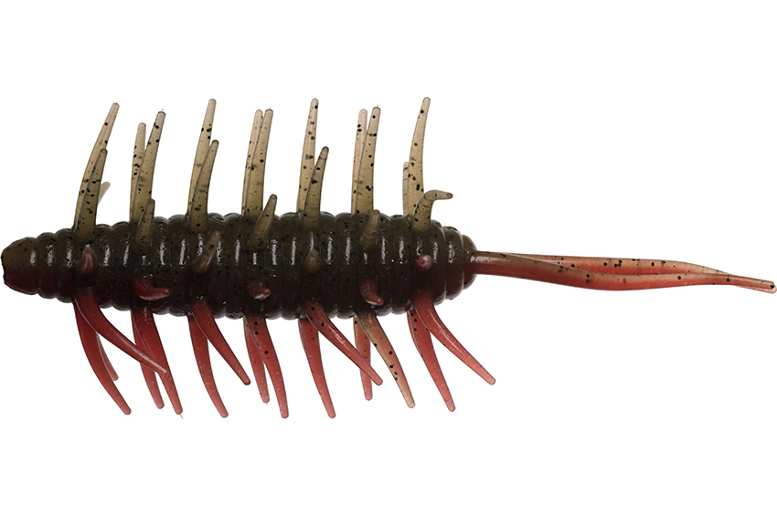 Hideup Coike Shrimp Magnum