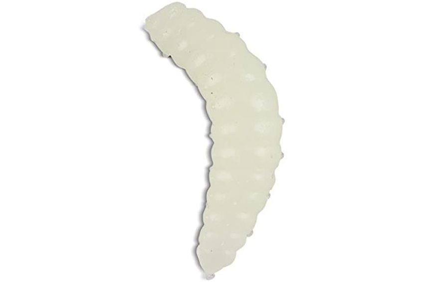 BEE MAGOTS (Cagnotto)