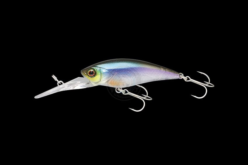 D-BILL SHAD  55SR 55mm 5.5gr