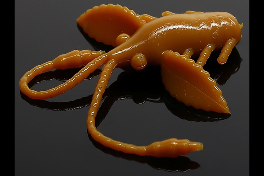 Libra Lures Pro Nimph 18 Aroma