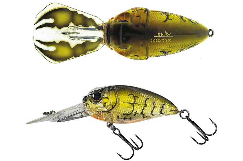 Molix Sculpo DR Rattlin'