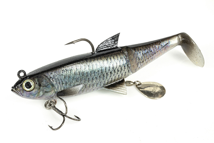 Molix Shad 120 Swimbait