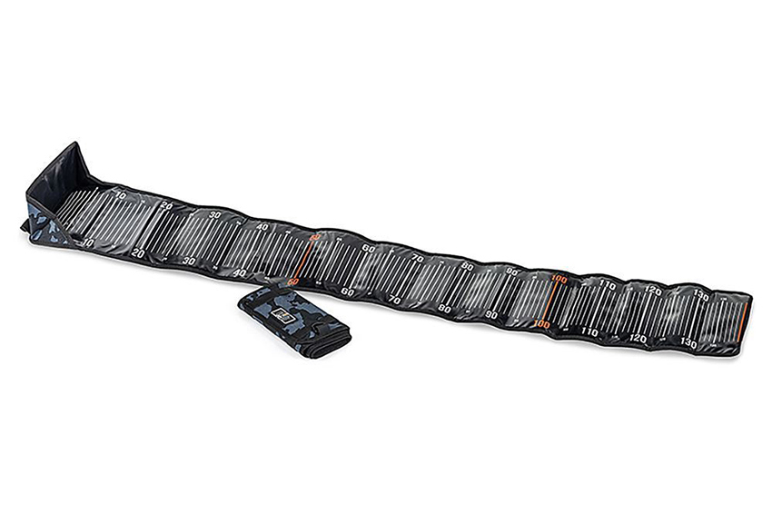 Molix Fish Ruler (metro)