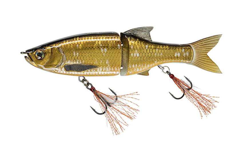 Molix Glide Bait 178F Baroni Baits