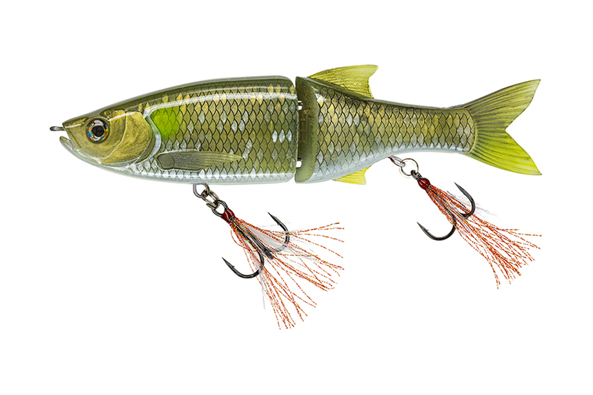 Molix Glide Bait 178F Baroni Baits