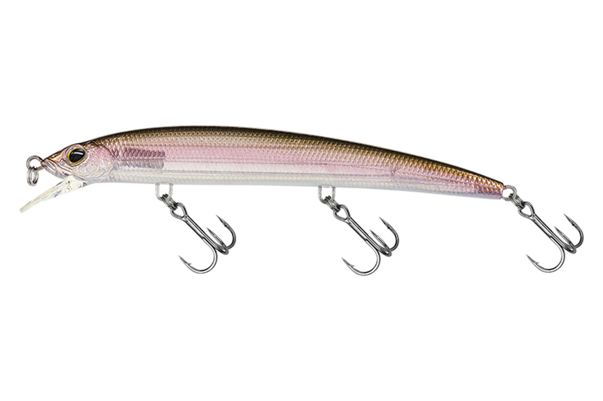 Molix Finder Jerk Evo 125F