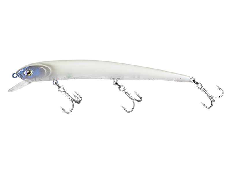 Molix Audace EVO 130