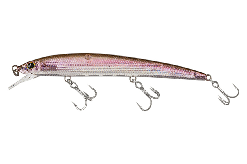 Molix Finder Jerk 110 EVO SP