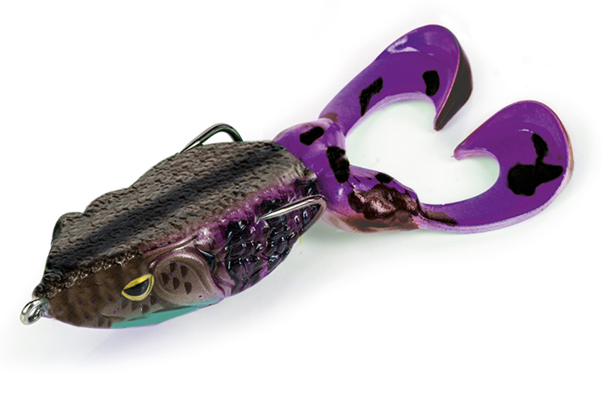 Molix Supernato Frog R