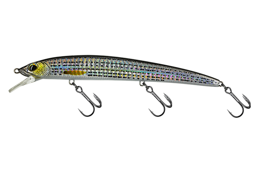 Molix Finder Jerk Evo 150SS