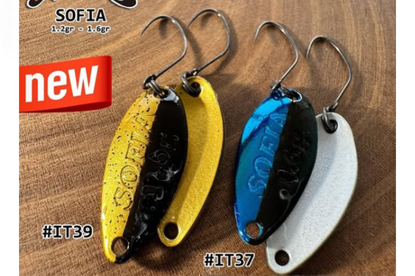 Nories Sofia Limited 1.2gr