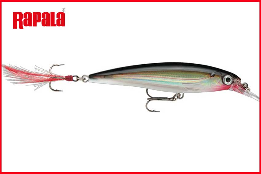 RAPALA X-RAP 100mm 13gr