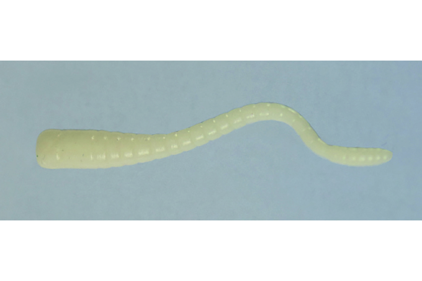 Esche Righetti New Girino Killer