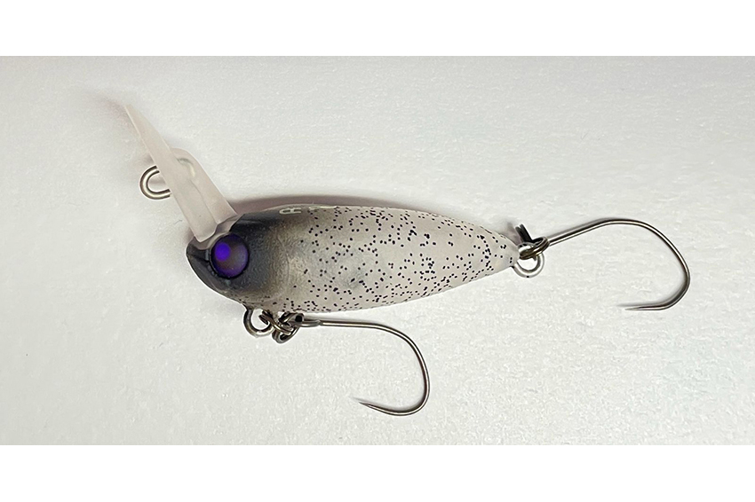 Rodio Moca Colori Limited Italia Type USSA XS Ratt