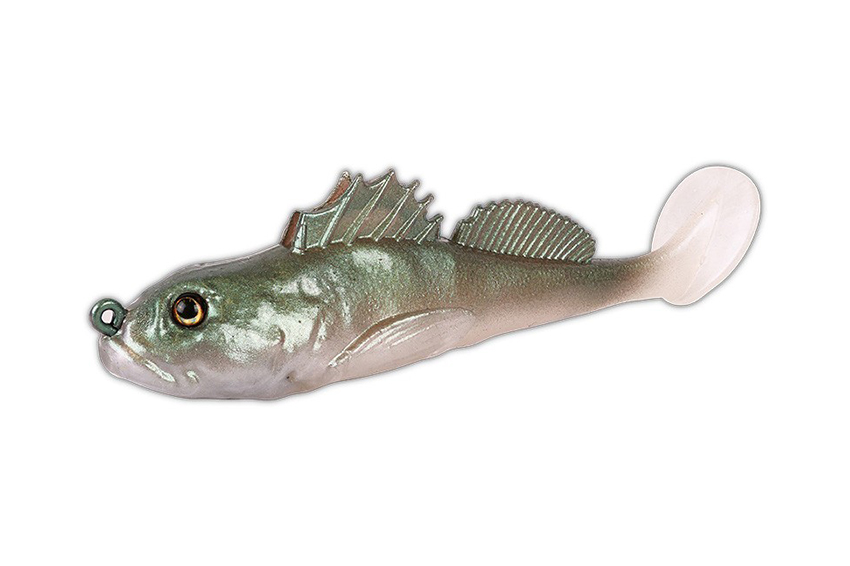 Saeco Blenny Shad
