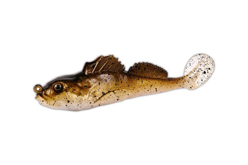 Saeco Blenny Shad