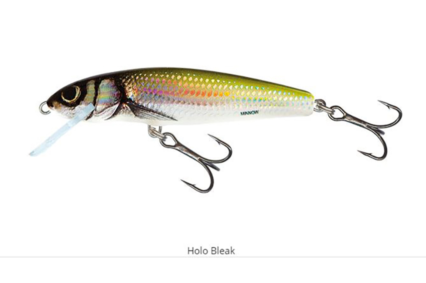 Salmo Floating Minnow 50