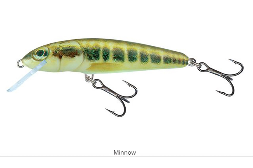 Salmo Sinking Minnow 70