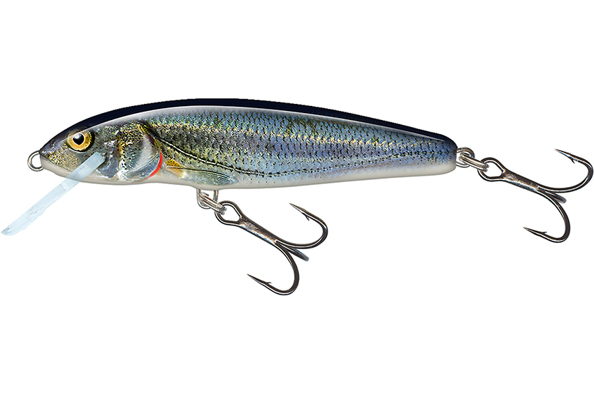 Salmo Floating Minnow 70