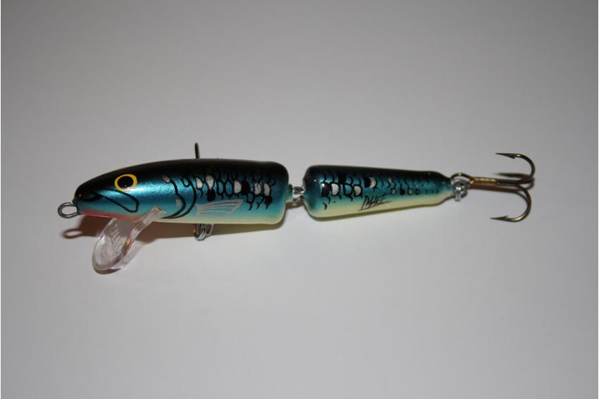 Fanatic floating snodato