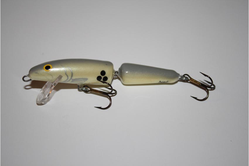 Fanatic floating snodato