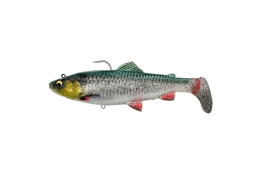 SG 4D RATTLE SHAD TROUT SINKING