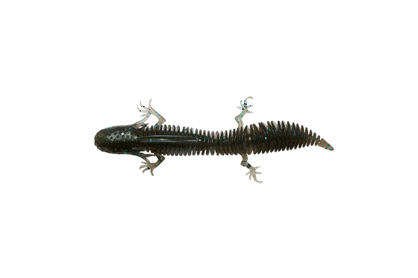 SG New Salamander
